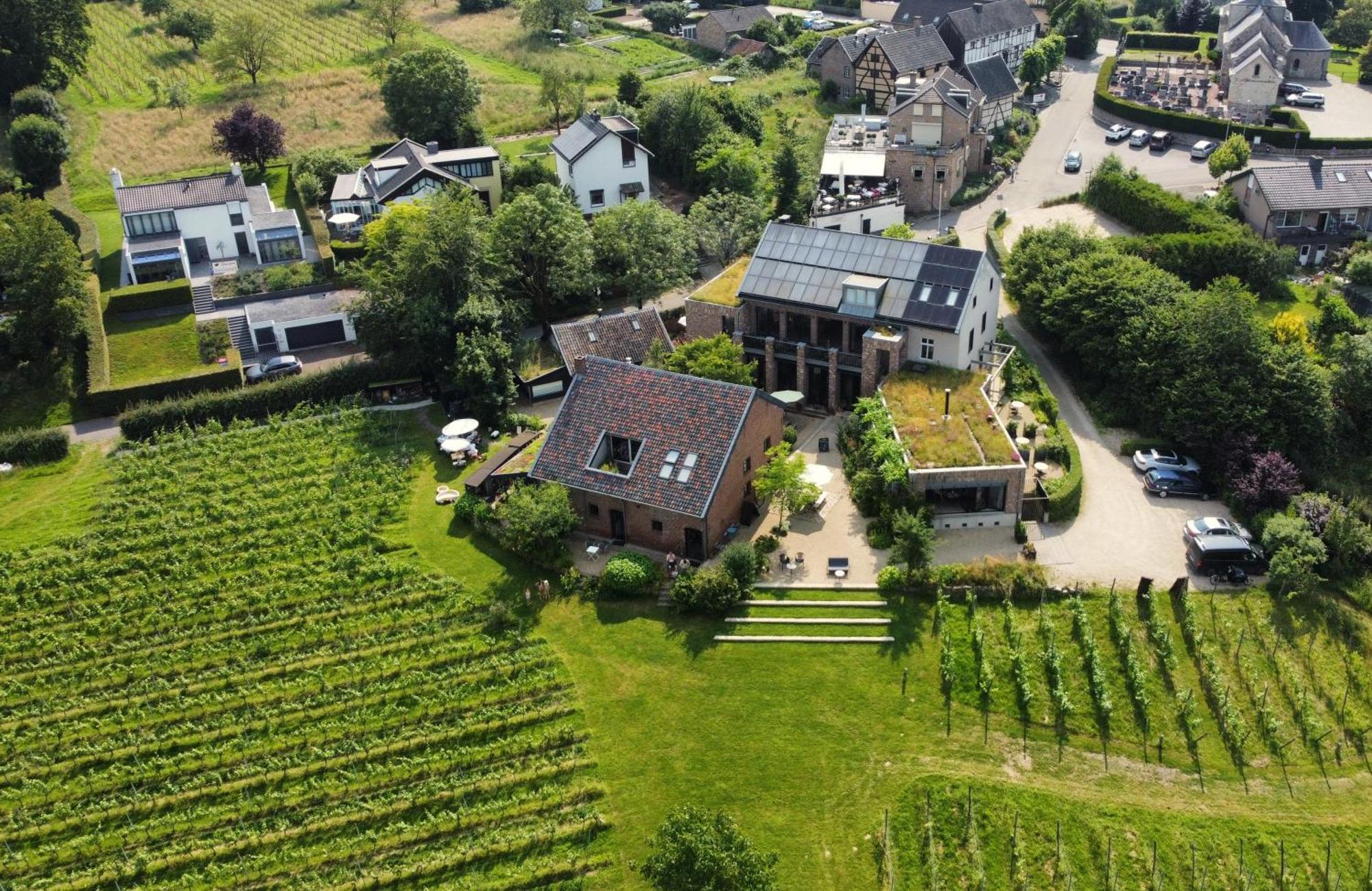Lemiers Domein Holset Bruisendwijnhuis المظهر الخارجي الصورة